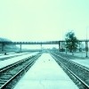cover pic