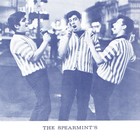 Picture for song '05-Spearmints _ Little One' by artist 'The Spearmints'