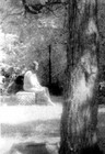 Picture for song 'Girl In A Graveyard' by artist 'The Tones'
