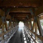 Picture for song 'Your Mistakes Have Caught Up' by artist 'The Turnpike'