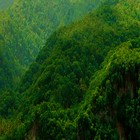 Picture for song 'Distant Lands' by artist 'The Well is Deep'