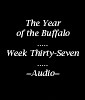 Picture for song 'Week Thirty-Seven: Lonliness on the Road' by artist 'The Year of the Buffalo (Volume III)'