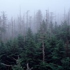 Picture for song '18 THOK18' by artist 'THOK'