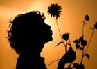 Picture for song 'I'm missing you Blues' by artist 'Thom Ready'