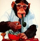 Picture for song ''Greeny's Emporium'' by artist 'Tim Green'