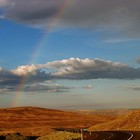 Picture for song 'The End of the Rainbow' by artist 'Todd Weller'