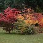 Picture for song 'Autumn leaves (violin & guitar)' by artist 'Tony Jefferson'