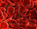 Picture for song 'Organism (Blood Cell rmx)' by artist 'Tracing Shadows'