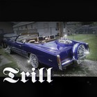 Picture for song 'Trill-Drake NWTS Style' by artist 'trapcamp'