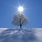 Picture for song 'TKO (Reprise)' by artist 'Treacle Smith'