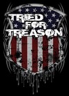 Picture for song 'Weight of Words' by artist 'Tried For Treason'