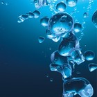 Picture for song 'HYPHY BUBBLES' by artist 'TRUNK POUND'