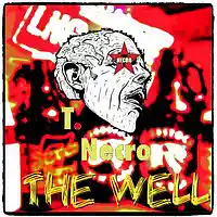 Picture for song 'The Well' by artist 'Turtle Necromancer'
