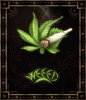 Picture for song 'Da Weed Song' by artist 'UCG Records'