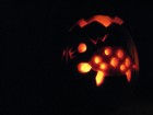 Picture for song 'novembrr' by artist 'Upsidedown Cat'