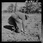 Picture for song 'Memories' by artist 'Verne Garrison (aka Lake Fork Verne)'