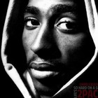 Picture for song '!!NEW!! ::. Psalms (INSTRUMENTAL) ::.' by artist 'Vokab Beats'