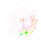 Picture for song 'Chasing Rhyme and Fearing the Verse' by artist 'Volans'