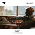 Picture for song 'Raw (SOLD)' by artist 'Wabisband'