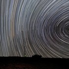 Picture for song 'circles' by artist 'wado production'