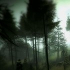 Picture for song 'mysterious forest' by artist 'wado production'