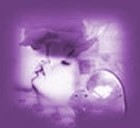 Picture for song 'Subtle Remark' by artist 'WebGab'