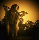 Picture for song 'Letter to Melinda' by artist 'White Noise Radio'