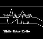 Picture for song 'Nothing Ever Really Dies' by artist 'White Noise Radio'