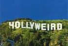Picture for song 'Hollyweird' by artist 'White Virus A.K.A. Nexx Phaze'