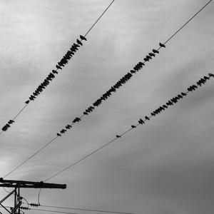 Picture for song '"Heat"(Prod.whoDeany)' by artist 'whoDeanyBeatz'