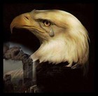 Picture for song 'Sept.11 Tribute' by artist 'Wide Range Music'
