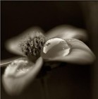 Picture for song 'is not just my fault!!!!!!!' by artist 'Winylfun'