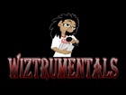 Picture for song 'WIZ 1219' by artist 'Wiztrumentals'