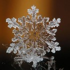 Picture for song 'snow' by artist 'xtraterrestrials'