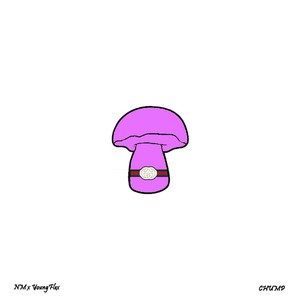 Picture for song 'NM x YoungFlex WALLABELL (Jucy World Type Beat)' by artist 'INS4T'