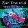 Picture for song 'FOURTEEN DOLLARS & 57 CENTS' by artist 'ZAK DANIELS And The ONE EYED SNAKES'