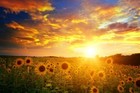 Picture for song 'Morning wind' by artist 'Zsolt Benko'