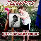Picture for song 'Fleshpots - Third World Child.mp3' by artist 'Fleshpots'