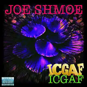 Picture for song 'ICGAF' by artist 'Joe Shmoe'