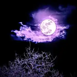 Picture for song 'One Night' by artist 'KillerMiller'