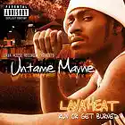 Picture for song 'INTRO UNTAME MAYNE' by artist 'lava house records'