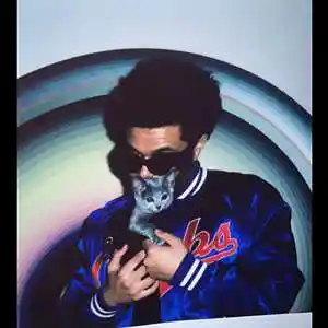 Picture for song 'Stolen Heart - Pop x The Weeknd Type Beat' by artist 'Milanmadeit'