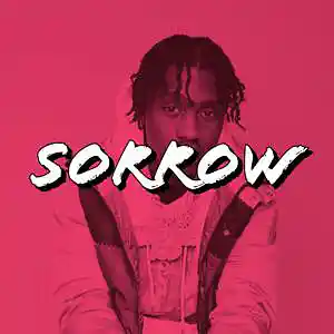 Picture for song 'SORROW - BUY 1 GET 1 FREE - LIL TJAY TYPE BEATS' by artist 'PINK MOLLY BEATZ'