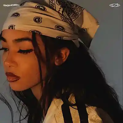 Song picture