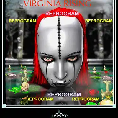 Picture for song 'Reprogram Your Mind(Machines of Hatred Remix)' by artist 'VIRGINIA RISING'