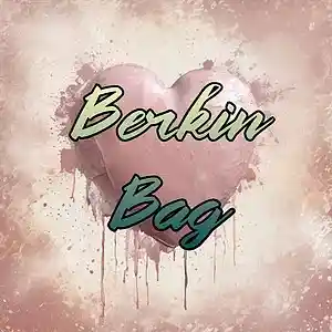 Picture for song 'Berkin Bag' by artist 'Anac On The Beat'