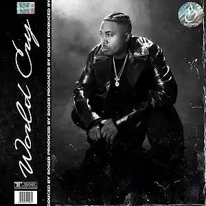 Picture for song 'World Cry (Nas Type Beat)' by artist 'BOGER'