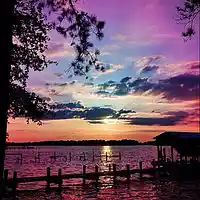 Picture for song 'thedarkestcolorisblue' by artist 'Lauren Lindsay Dj Empath'