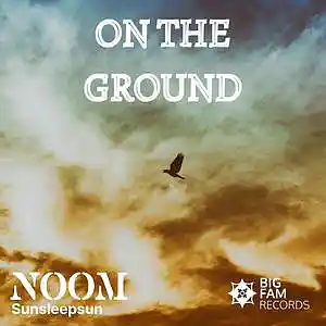 Picture for song 'On The Ground' by artist 'Noom'