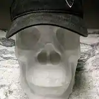 Picture for song 'THE WHOLE TRUTH ' by artist 'Petra Poetic'